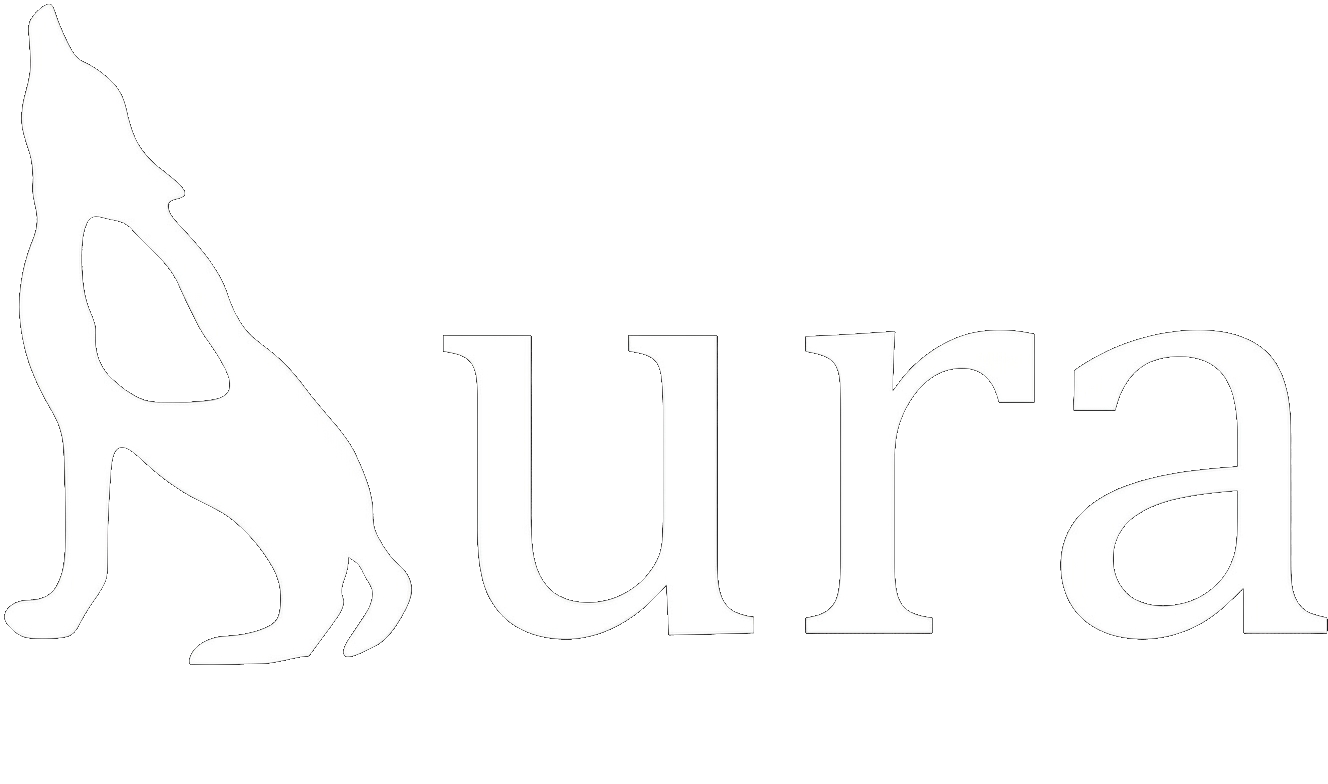 Aura Android app sign-in screen